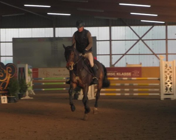 Reitturnier Pausin 2020