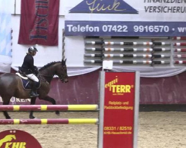 jumper Quax 54 (Bavarian, 2008, from Question D'Honneur B)