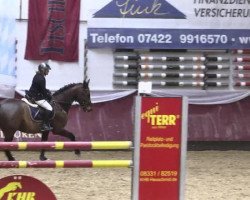 jumper Quax 54 (Bavarian, 2008, from Question D'Honneur B)