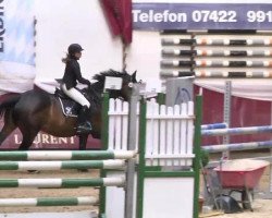 jumper Quadir 2 (Bavarian, 2008, from Quite Magic)