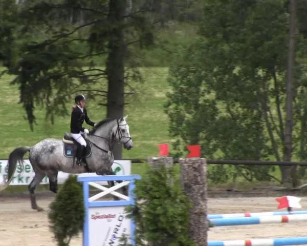 dressage horse Oscar Schumann (Zweibrücken, 2004, from Candus)