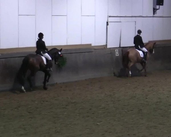 jumper First Pitch R (Oldenburg, 2008, from Fidertanz)