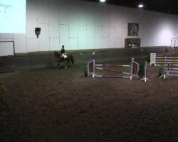 jumper Finnley R (Oldenburg, 2008, from Fidertanz)