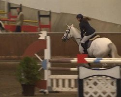 jumper Pashmina Hogue (Rottaler Warmblood, 2003, from Mr Blue)