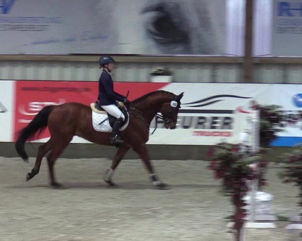 Reitturnier Negernbötel 2020, 7. Nordic Jumping event 2020/2021