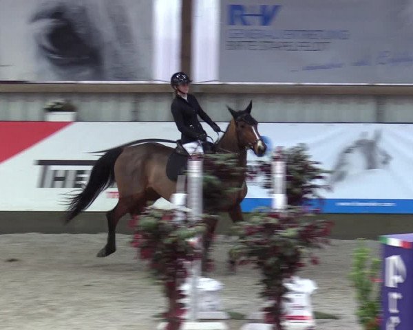 Reitturnier Negernbötel 2020, 7. Nordic Jumping event 2020/2021