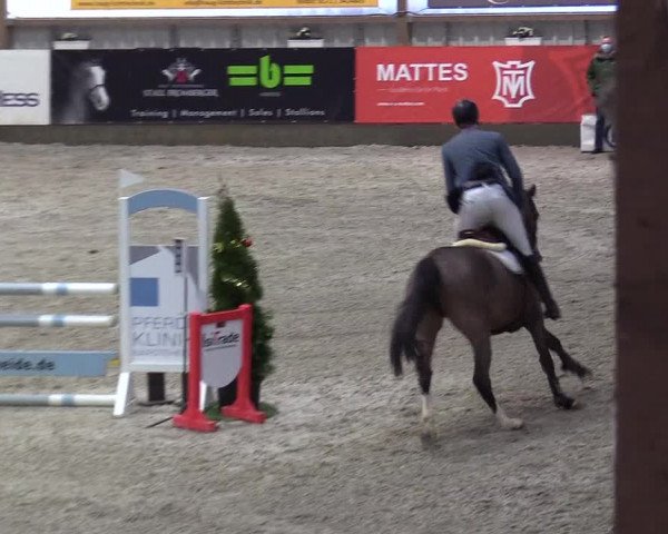 Reitturnier Negernbötel 2020, 7. Nordic Jumping event 2020/2021