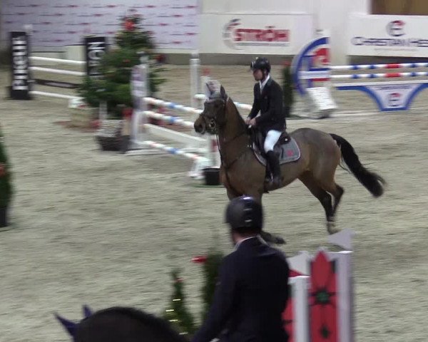 Reitturnier Negernbötel 2020, 7. Nordic Jumping event 2020/2021