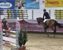 jumper Chumba G (Bavarian, 2010, from Chacco-Blue)