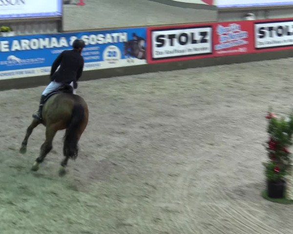 Reitturnier Negernbötel 2020, 7. Nordic Jumping event 2020/2021