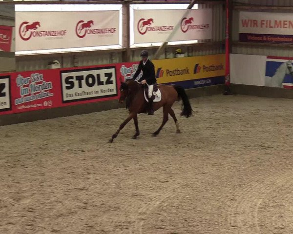 Reitturnier Negernbötel 2020, 7. Nordic Jumping event 2020/2021