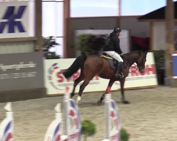 Reitturnier Negernbötel 2020, 7. Nordic Jumping event 2020/2021