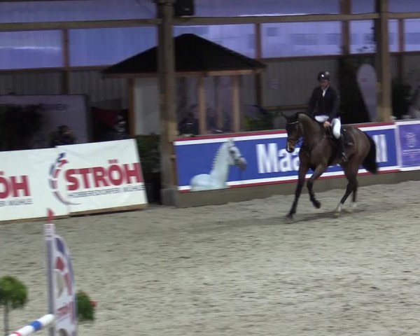 Reitturnier Negernbötel 2020, 7. Nordic Jumping event 2020/2021