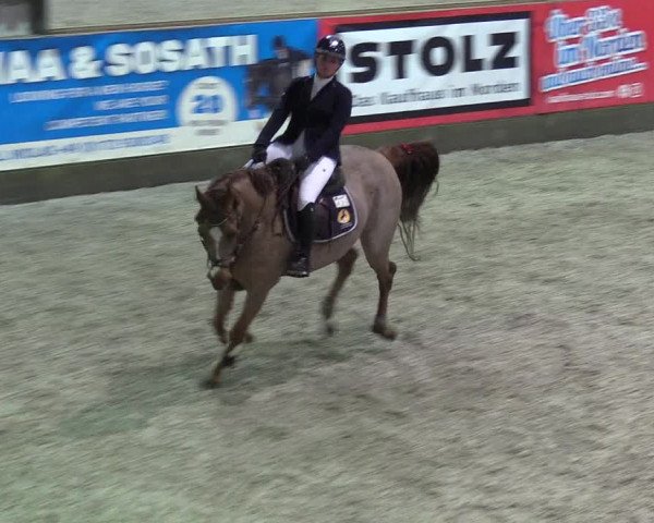 Reitturnier Negernbötel 2020, 7. Nordic Jumping event 2020/2021