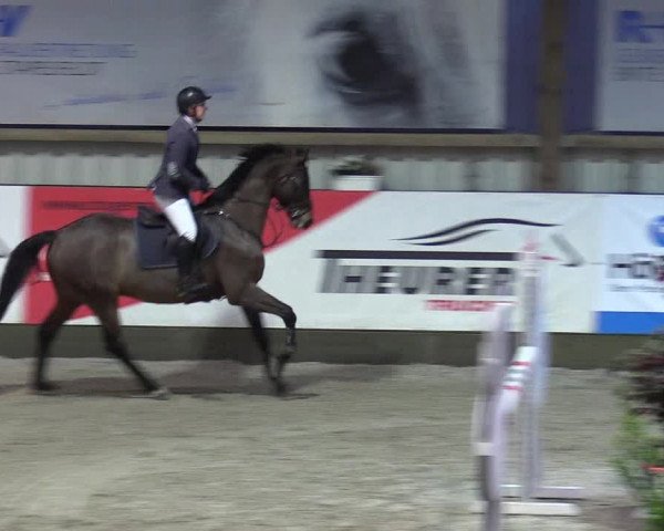 Reitturnier Negernbötel 2020, 7. Nordic Jumping event 2020/2021