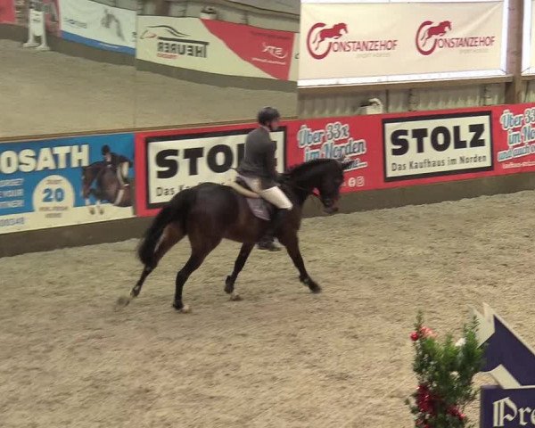 Reitturnier Negernbötel 2020, 7. Nordic Jumping event 2020/2021