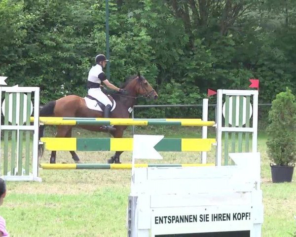 broodmare Carolientje 2 (Oldenburg, 2000, from Shine On)