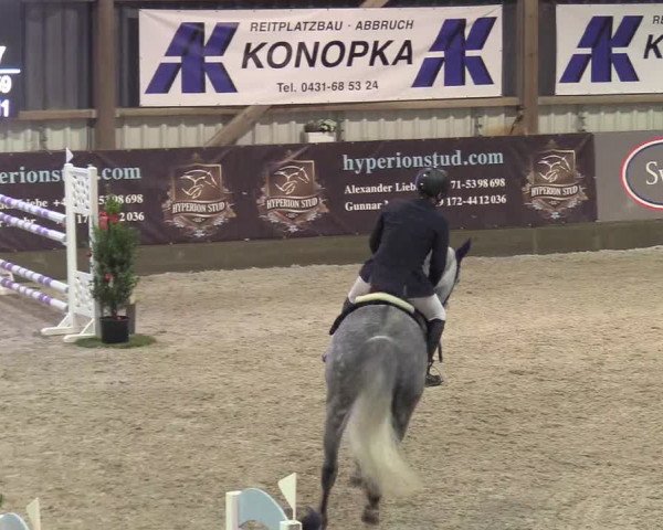 Reitturnier Negernbötel 2020, 7. Nordic Jumping event 2020/2021