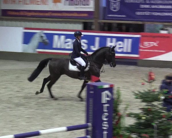 Reitturnier Negernbötel 2020, 7. Nordic Jumping event 2020/2021