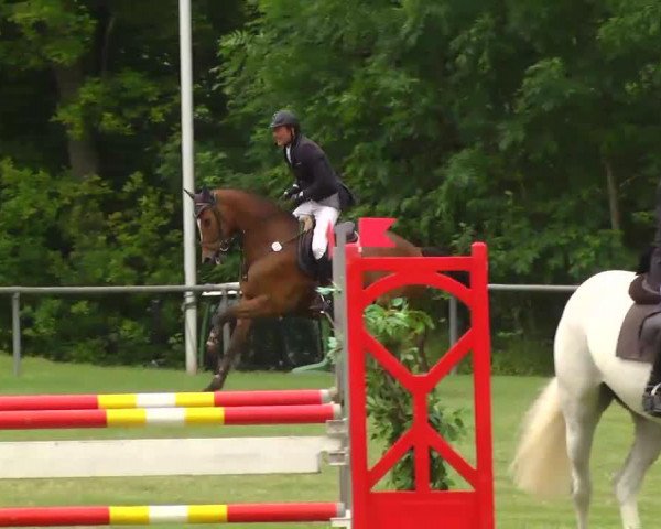 jumper Mr. Jack Nicolson VS (unknown, 2007)