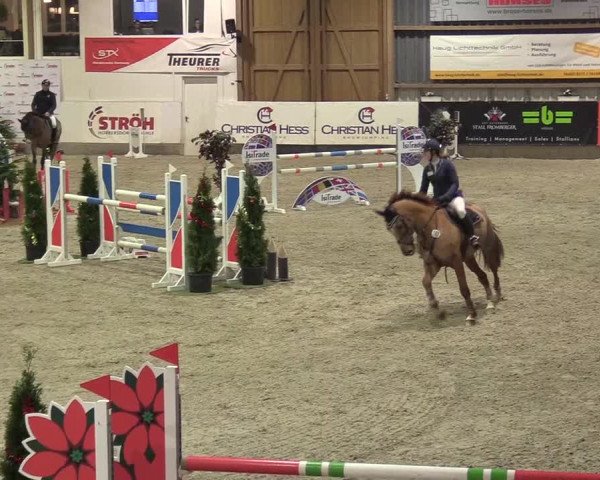 Reitturnier Negernbötel 2020, 7. Nordic Jumping event 2020/2021