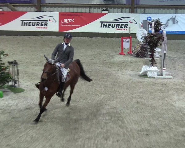 Reitturnier Negernbötel 2020, 7. Nordic Jumping event 2020/2021