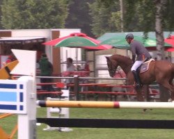 jumper Artiflex R (KWPN (Royal Dutch Sporthorse), 2005)
