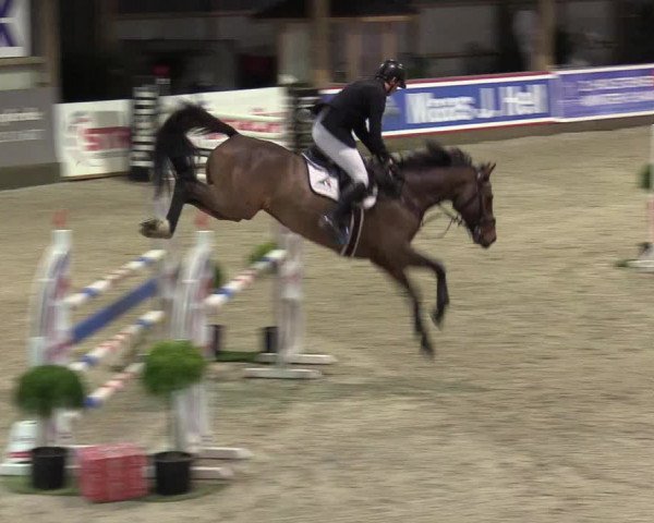 Reitturnier Negernbötel 2020, 7. Nordic Jumping event 2020/2021