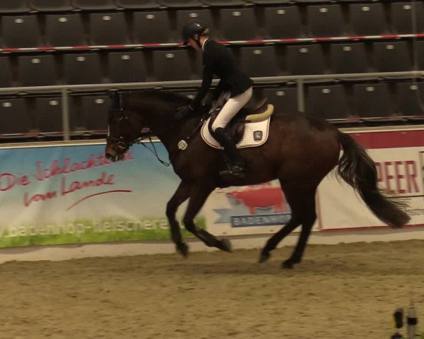 Reitturnier Verden Montagsclub 2020