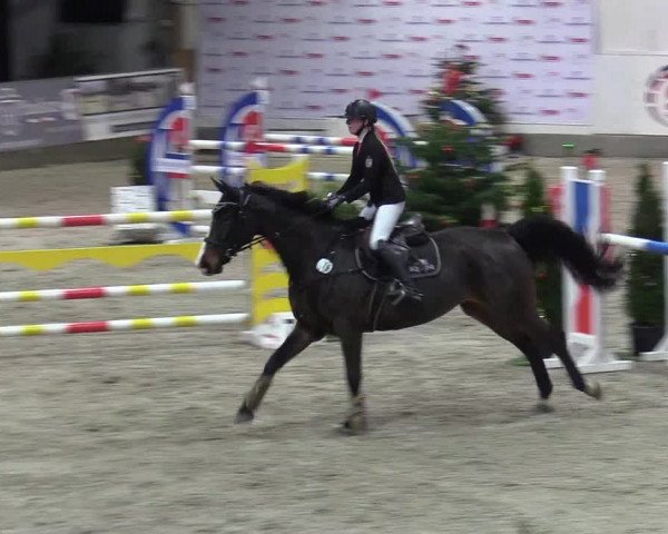 Reitturnier Negernbötel 2020, 7. Nordic Jumping event 2020/2021