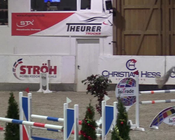 Reitturnier Negernbötel 2020, 7. Nordic Jumping event 2020/2021