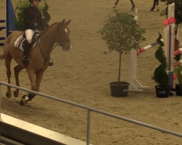 Reitturnier Verden Montagsclub 2020