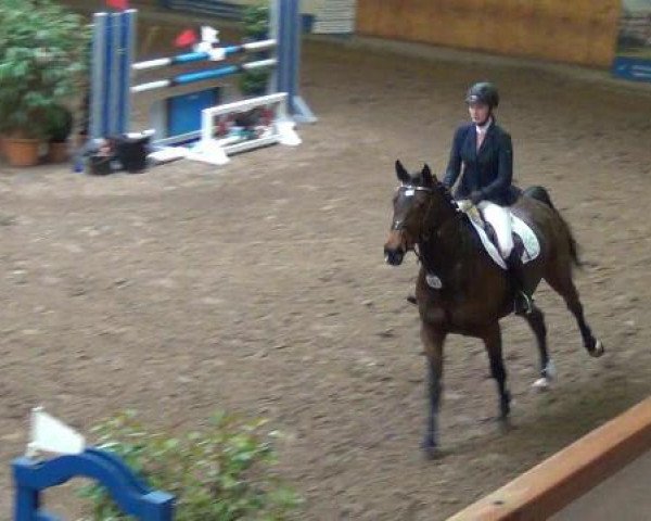 broodmare Vaikiki (Holsteiner, 2005, from Con Air)