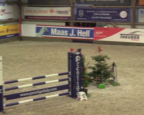 Reitturnier Negernbötel 2020, 7. Nordic Jumping event 2020/2021