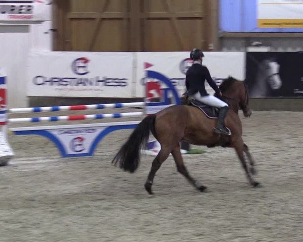 Reitturnier Negernbötel 2020, 7. Nordic Jumping event 2020/2021