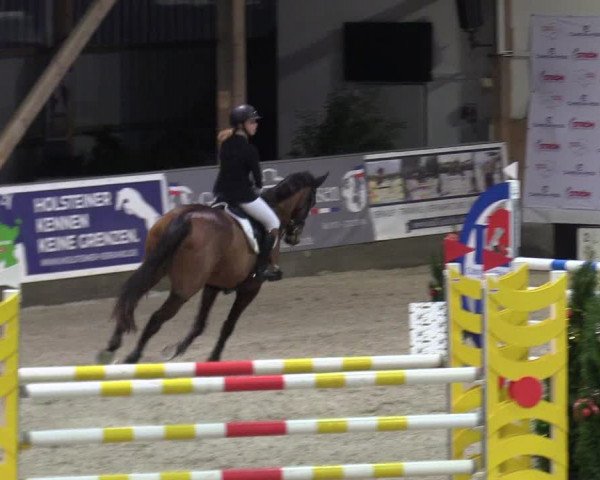 Reitturnier Negernbötel 2020, 7. Nordic Jumping event 2020/2021