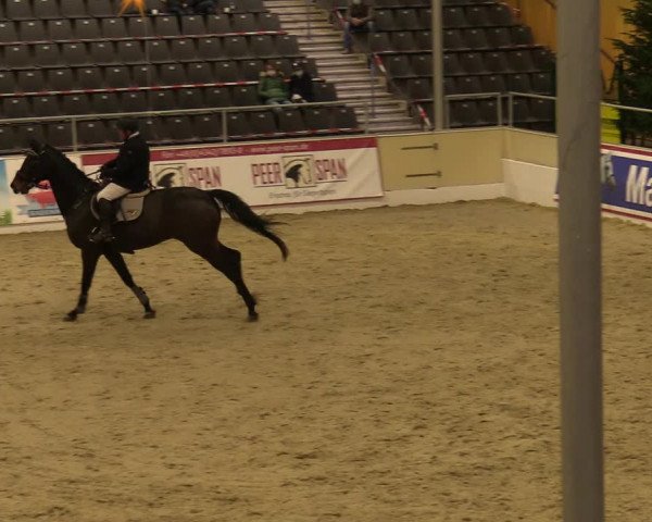 Reitturnier Verden Montagsclub 2020