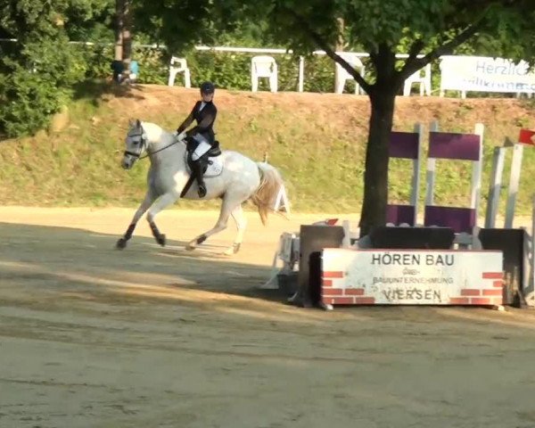 Springpferd Malte (Oldenburger, 1996, von Manolito AA)