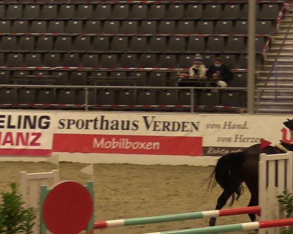 Reitturnier Verden Montagsclub 2020