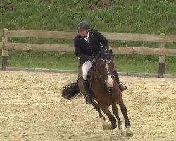 jumper UKATOS SON (KWPN (Royal Dutch Sporthorse), 1992, from Ukato)