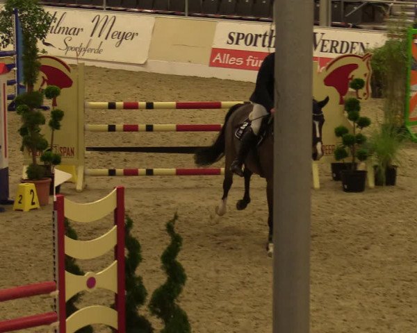 Reitturnier Verden Montagsclub 2020