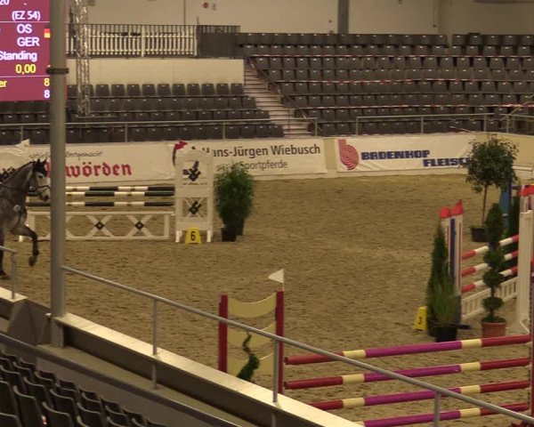 Reitturnier Verden Montagsclub 2020
