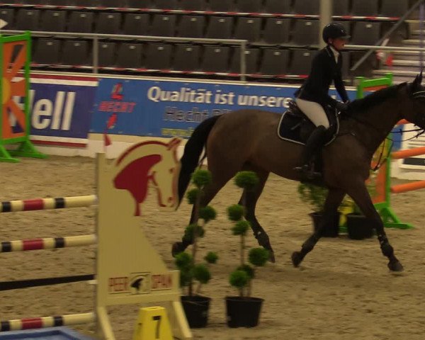 Reitturnier Verden Montagsclub 2020