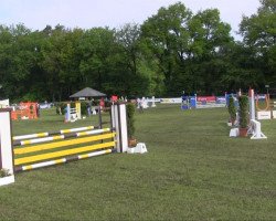 jumper Fame 186 (Westphalian, 2007)