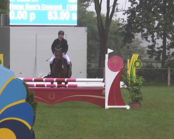 broodmare Kleine Feine (Hanoverian, 2007, from Kaiserkult TSF)