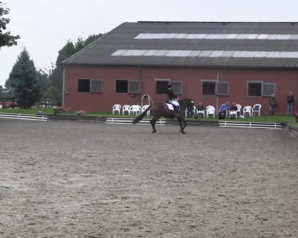 dressage horse Liebeskind B (Westphalian, 2008, from Licotus)
