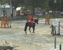 jumper No Parent's Girl (unknown, 2008)