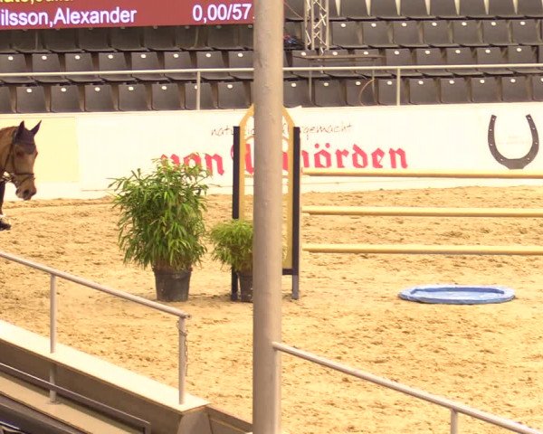 Reitturnier Verden Montagsclub 2020
