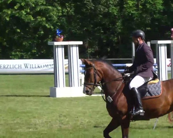 jumper For Joy 31 (Württemberger, 2005, from Forsyth)