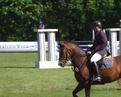 jumper For Joy 31 (Württemberger, 2005, from Forsyth)
